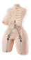 Onahip 1