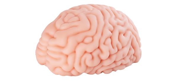 Brain Hacker DX